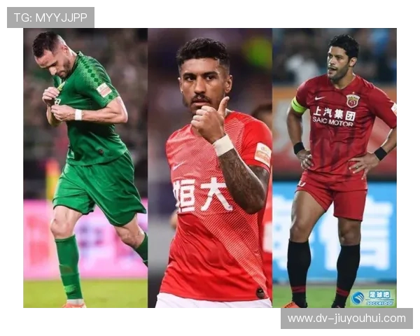 海鸥队足球：崛起之路与未来展望，全面解析球队成长与挑战